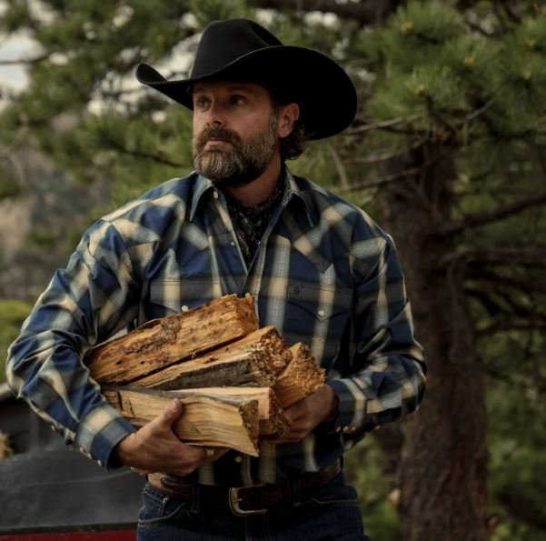 Blue Sage Dobby Plaid Western Shirt - Image 4