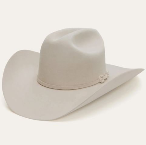 STETSON Skyline 6X Cowboy Hat Silverbelly